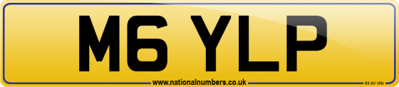 M6 YLP