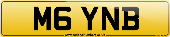 M6 YNB