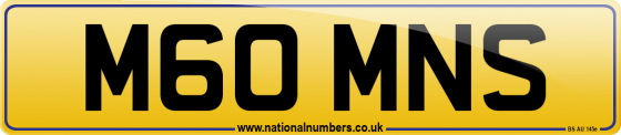 M60 MNS