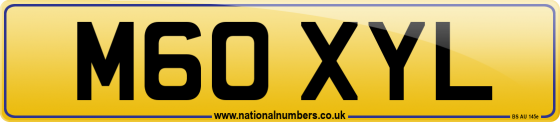 M60 XYL