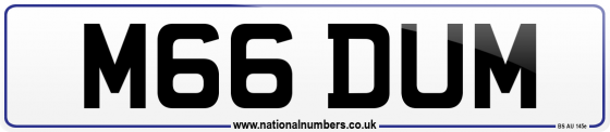M66 DUM