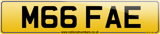 M66 FAE
