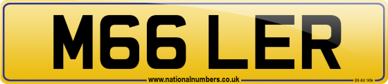 M66 LER
