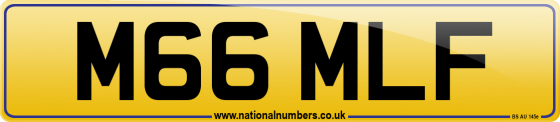M66 MLF