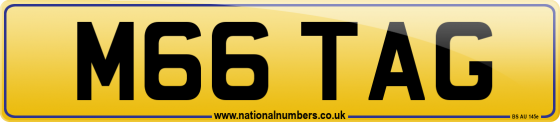 M66 TAG