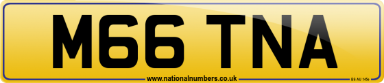 M66 TNA