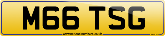 M66 TSG