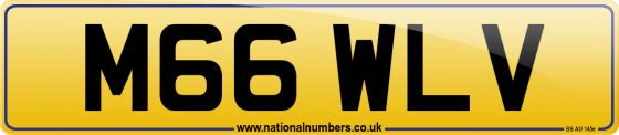 M66 WLV