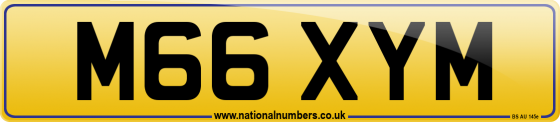M66 XYM