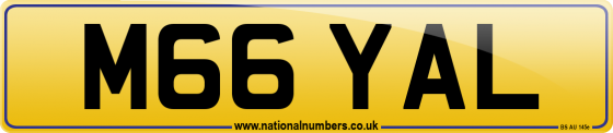 M66 YAL