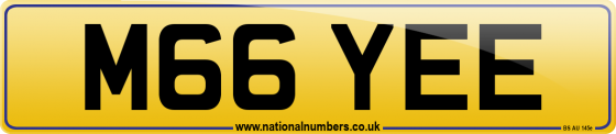 M66 YEE