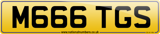 M666 TGS