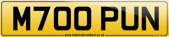 M700 PUN