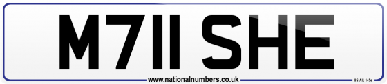 M711 SHE