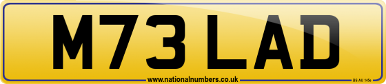 M73 LAD