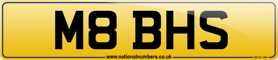 M8 BHS