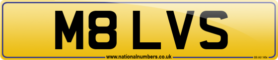 M8 LVS