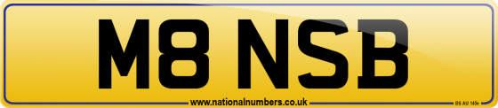 M8 NSB