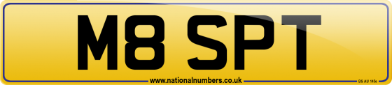M8 SPT