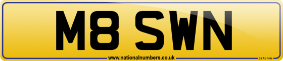 M8 SWN