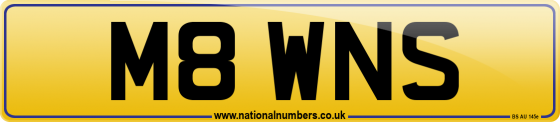 M8 WNS