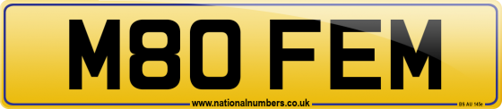 M80 FEM
