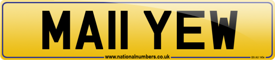 MA11 YEW
