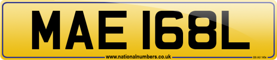 MAE 168L