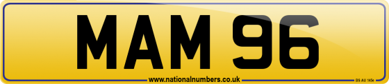 MAM 96