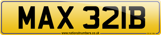 MAX 321B