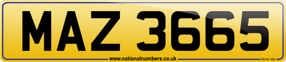 MAZ 3665