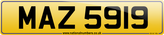 MAZ 5919