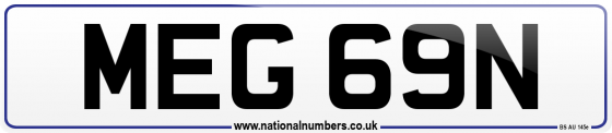 MEG 69N