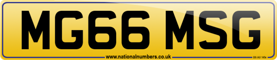 MG66 MSG