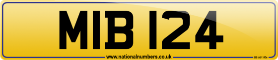 MIB 124