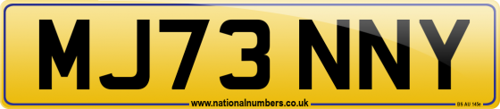 MJ73 NNY