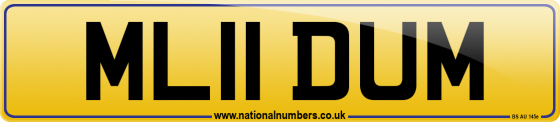 ML11 DUM