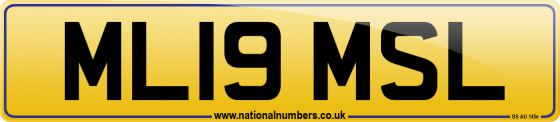 ML19 MSL