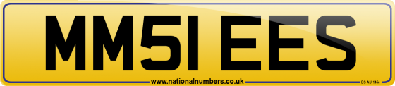 MM51 EES