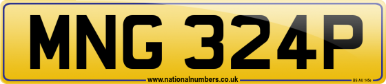 MNG 324P