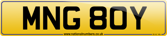 MNG 80Y