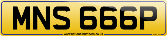 MNS 666P