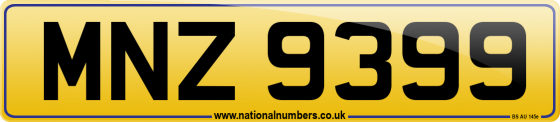 MNZ 9399