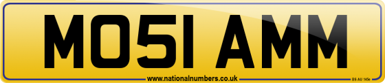 MO51 AMM