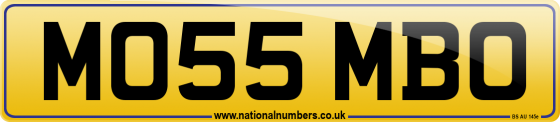 MO55 MBO