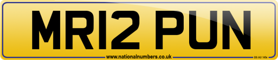MR12 PUN