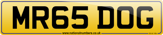 MR65 DOG