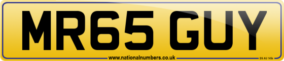 MR65 GUY