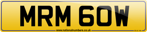 MRM 60W