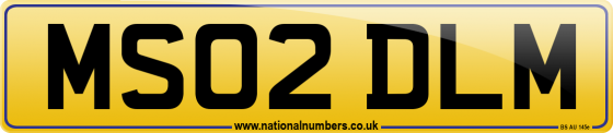 MS02 DLM